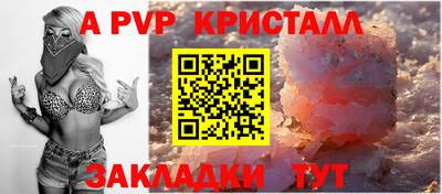 твердый Кингисепп