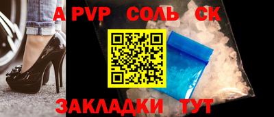 твердый Кингисепп