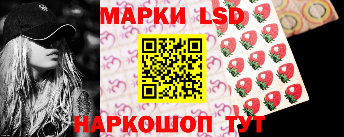 Кингисепп  LSD-25 экстази  Вход с VPN  Лсд 25 экстази кислота 