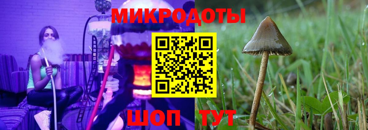 Псилоцибиновые грибы Magic Shrooms  Вход с VPN  Кингисепп  Галлюциногенные грибы MAGIC MUSHROOMS 